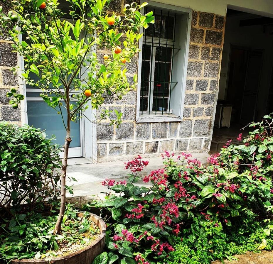 Berenice Winery Hotel Tiberias Exterior foto